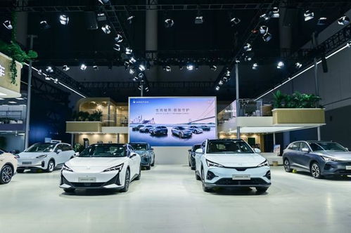 8月新能源汽車銷量榜盤點 零跑強勢殺入前五，極越首登牌桌