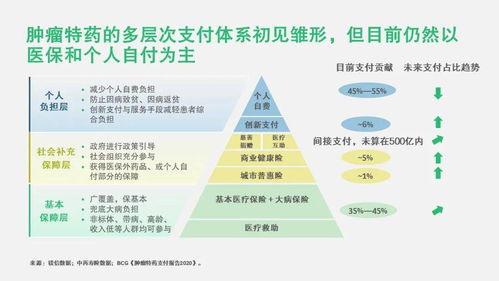 醫保談判時代的準入與商業化策略 未進入醫保目錄產品的突圍之路